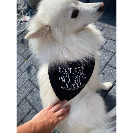 Seconds dog bandana, random design in black or white